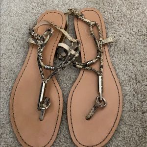 Coach Thong Sandal